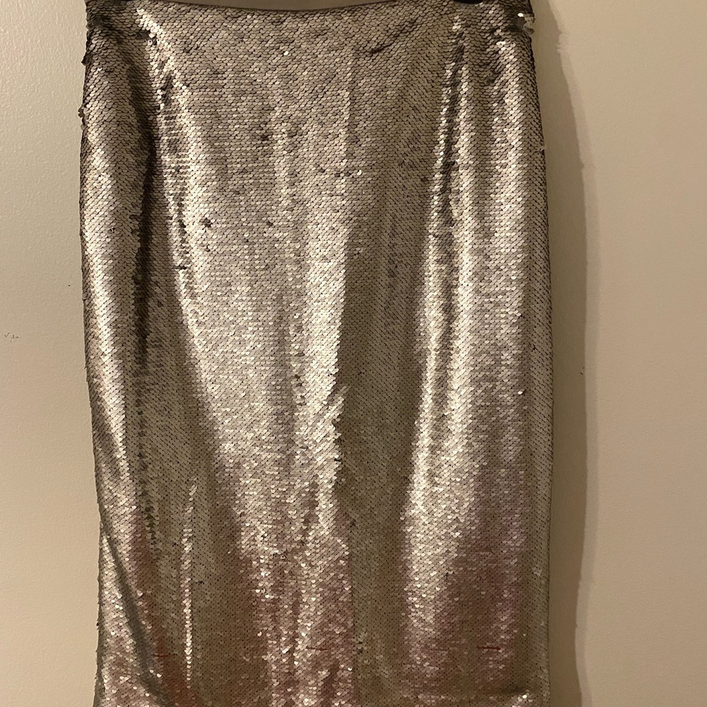 Banana Republic Silver Sequin Pencil Skirt